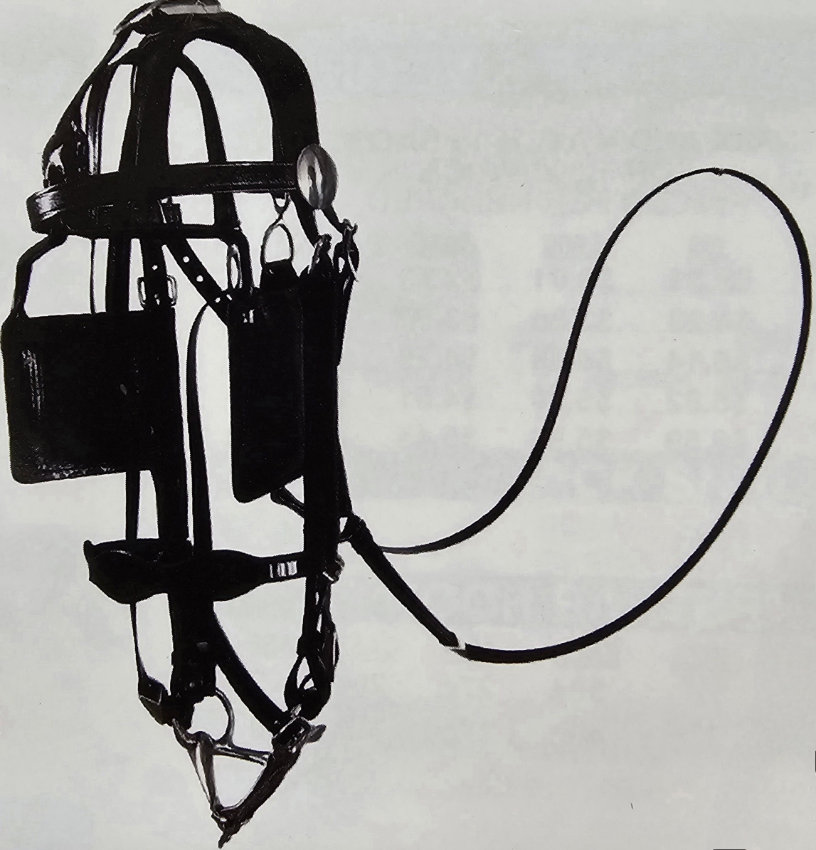 New Product Deluxe Driving Bridle Cob – Horse Size | Frontier